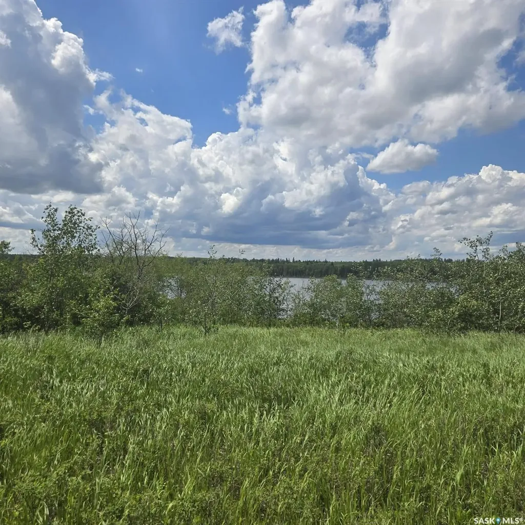 100 Crescent Bay Road Canwood Rm No. 494 SK S0J 0K0