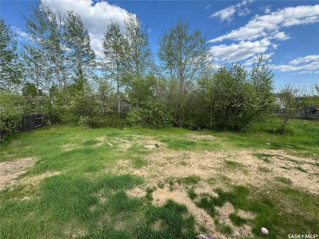 210 Bouvier Crescent Beauval SK S0M 0A1