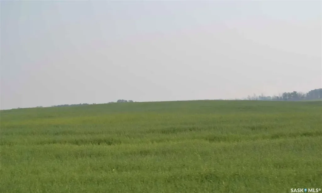 Rural Address Ituna Bon Accord Rm No. 246 SK S0A 1A0