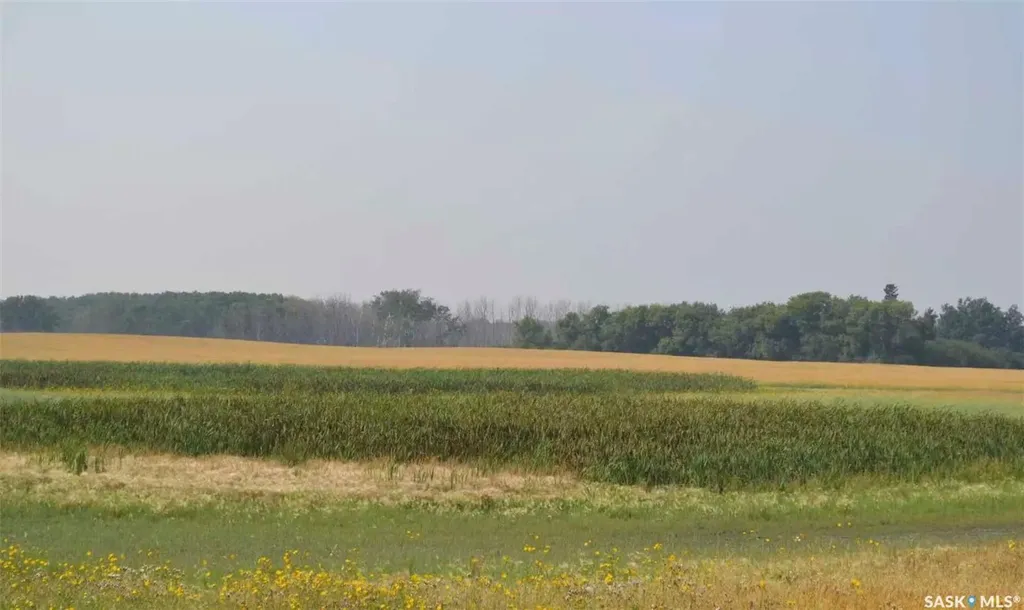 Rural Address Ituna Bon Accord Rm No. 246 SK S0A 1A0