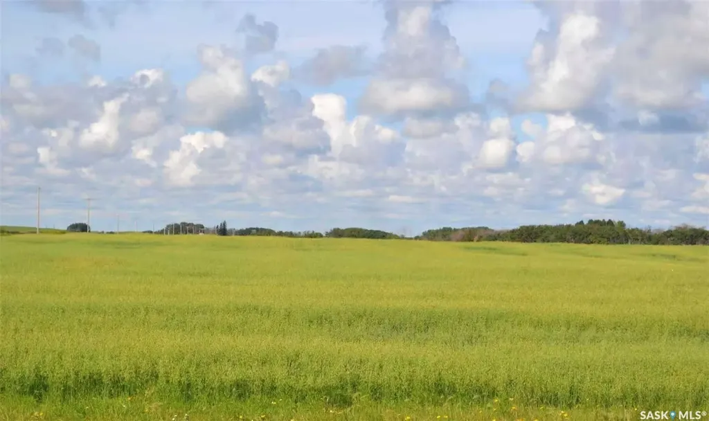 Rural Address Ituna Bon Accord Rm No. 246 SK S0A 1A0