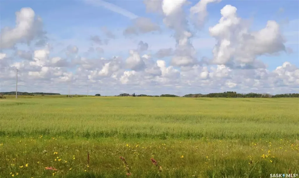 Rural Address Ituna Bon Accord Rm No. 246 SK S0A 1A0