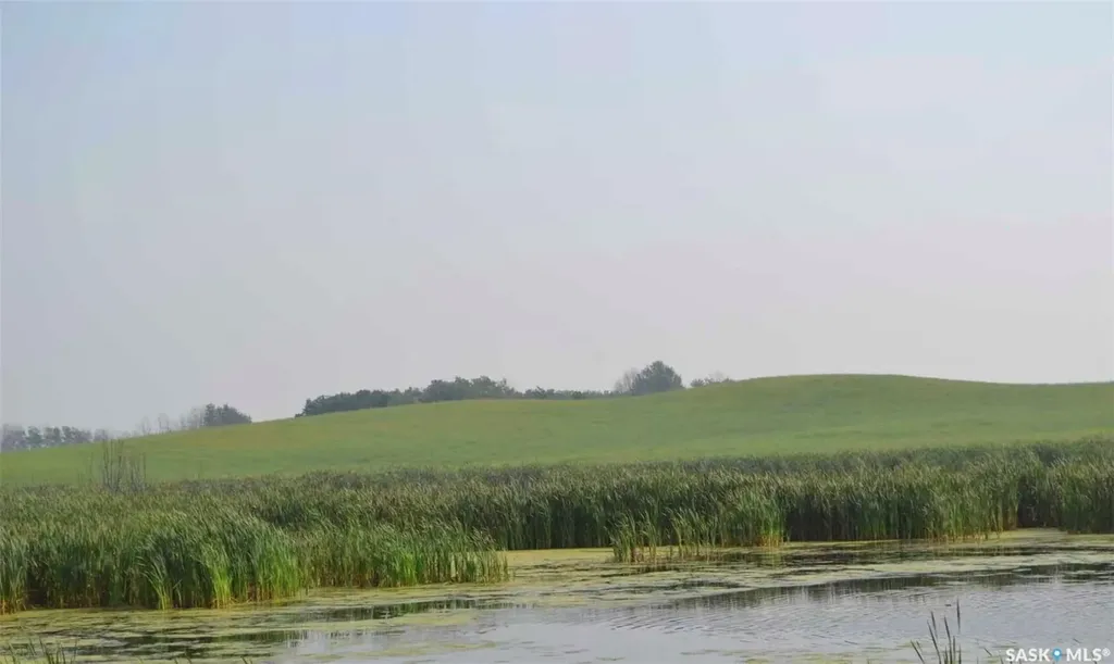 Rural Address Ituna Bon Accord Rm No. 246 SK S0A 1A0