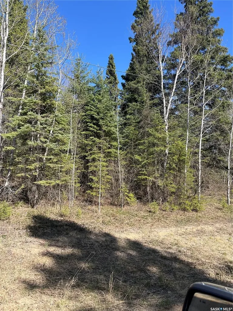 6 Buckingham Trail Big River Rm No. 555 SK S0J 0E0