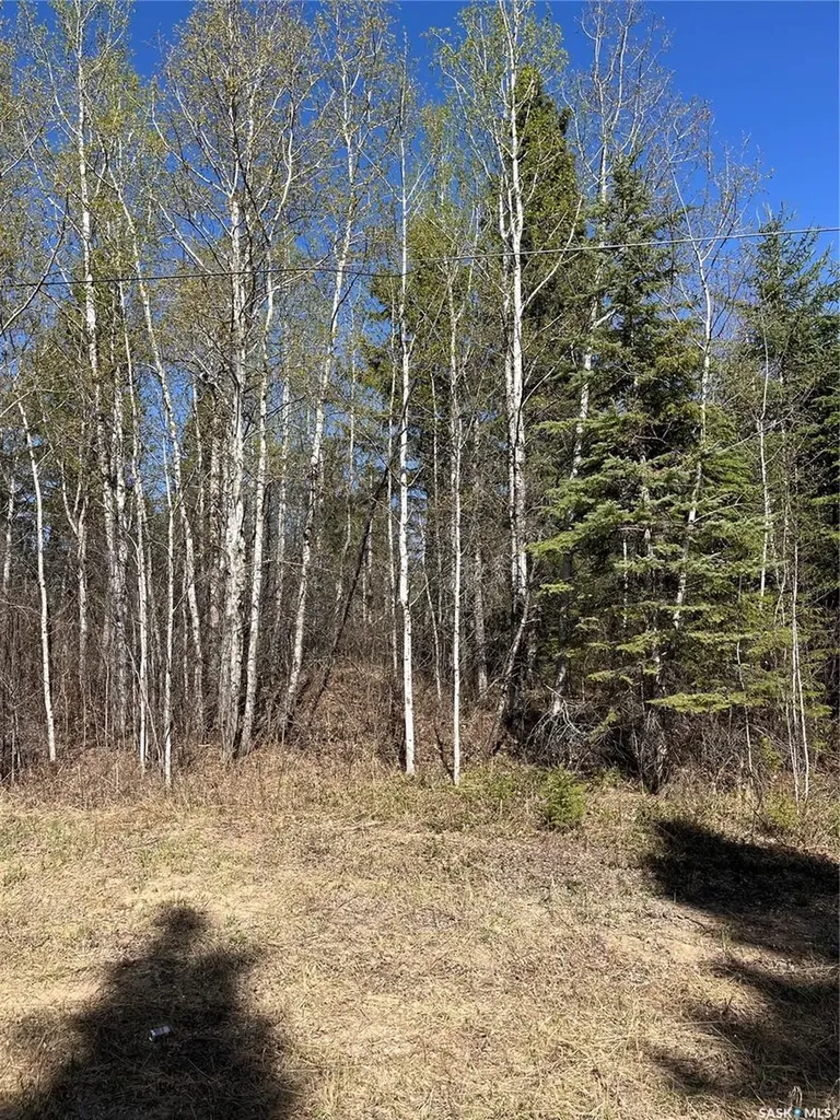 6 Buckingham Trail Big River Rm No. 555 SK S0J 0E0