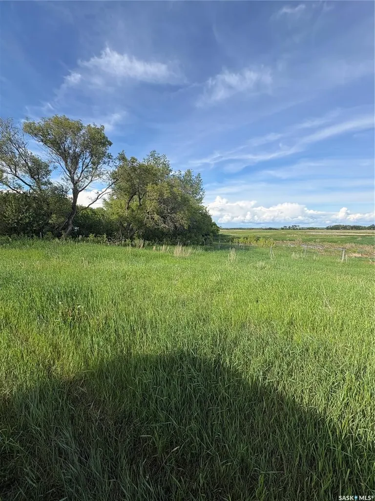 1 Rural Address Sasman Rm No. 336 SK S0A 1W0