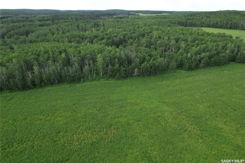 Rural Address Canwood Rm No. 494 SK S0J 0K0