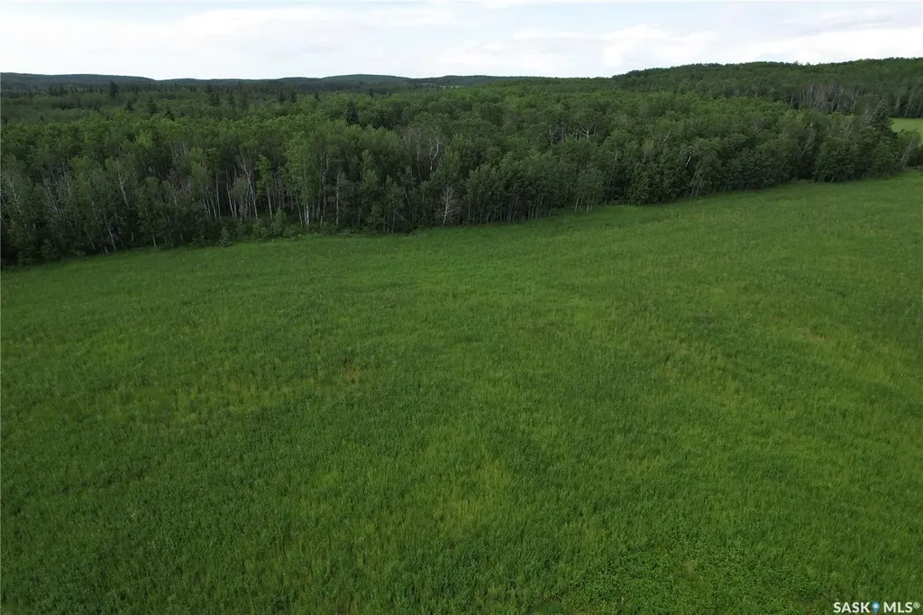 Rural Address Canwood Rm No. 494 SK S0J 0K0