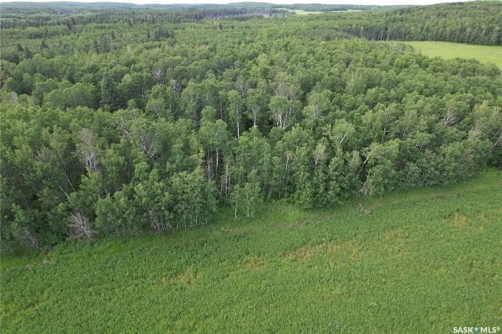 Rural Address Canwood Rm No. 494 SK S0J 0K0