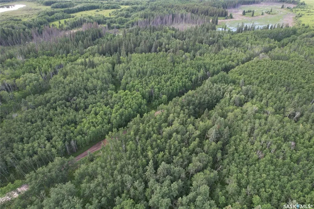 Rural Address Canwood Rm No. 494 SK S0J 0K0