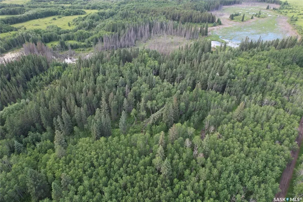 Rural Address Canwood Rm No. 494 SK S0J 0K0