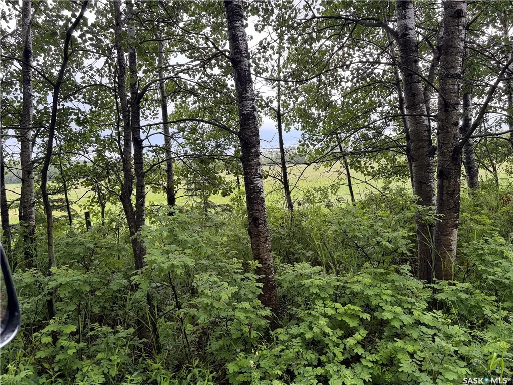 Rural Address Canwood Rm No. 494 SK S0J 0K0
