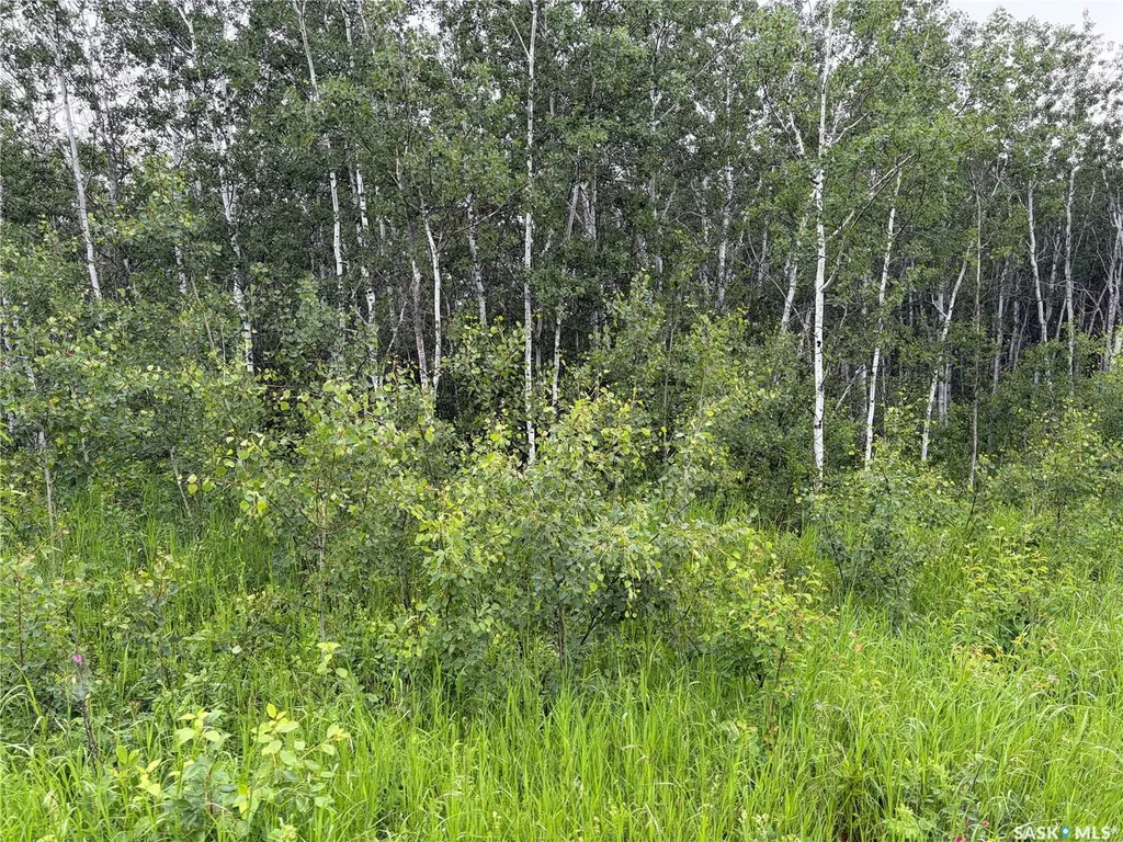 Rural Address Canwood Rm No. 494 SK S0J 0K0