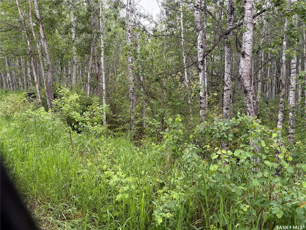 Rural Address Canwood Rm No. 494 SK S0J 0K0