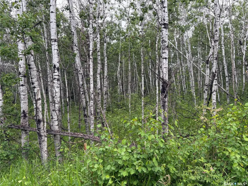 Rural Address Canwood Rm No. 494 SK S0J 0K0