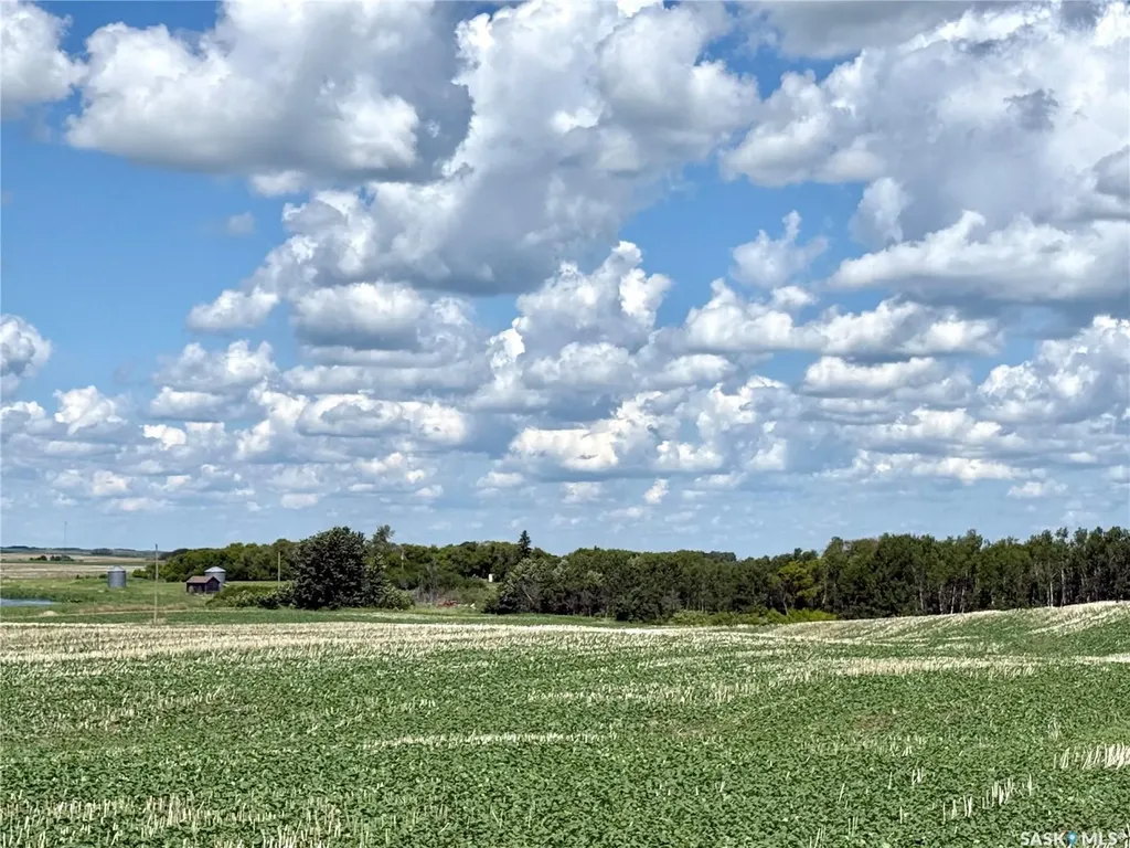 Rural Address Battle River Rm No. 438 SK S0M 0E0
