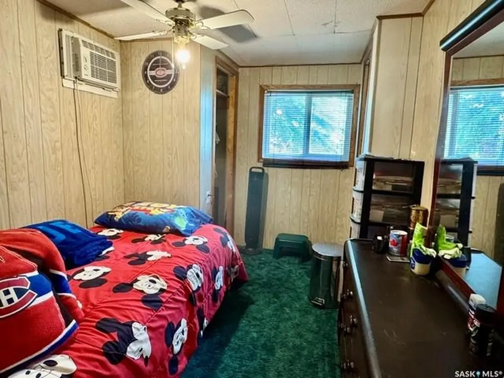 201 & 203 Park Street Leroy SK S0K 2P0
