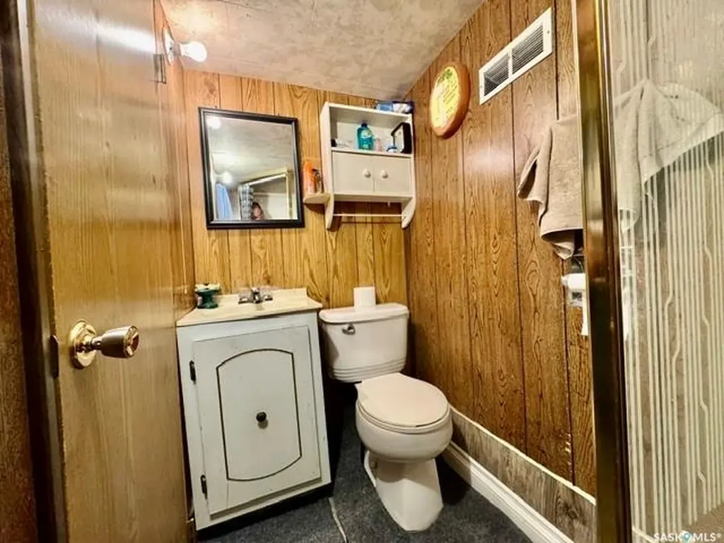 201 & 203 Park Street Leroy SK S0K 2P0