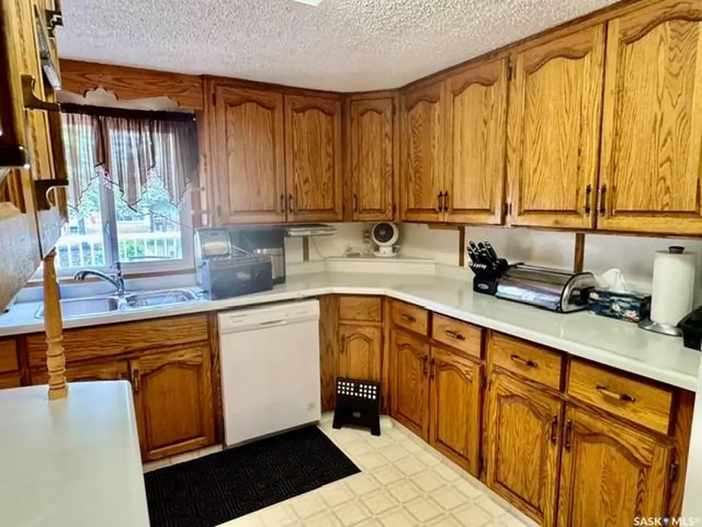 201 & 203 Park Street Leroy SK S0K 2P0