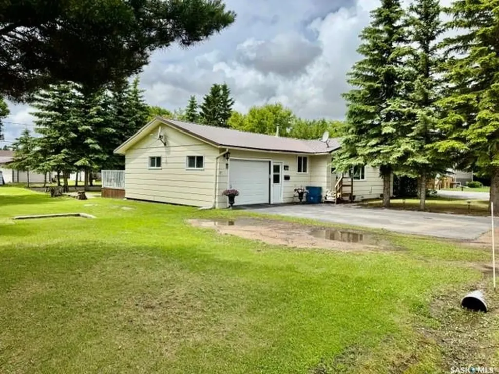 201 & 203 Park Street Leroy SK S0K 2P0