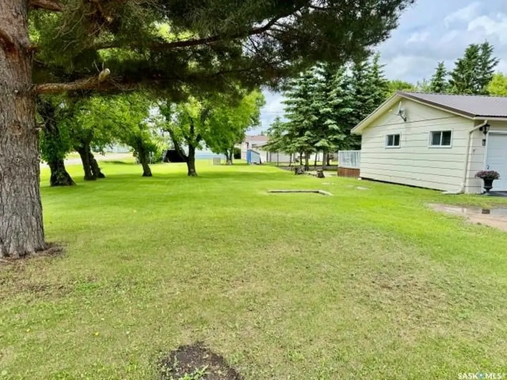 201 & 203 Park Street Leroy SK S0K 2P0