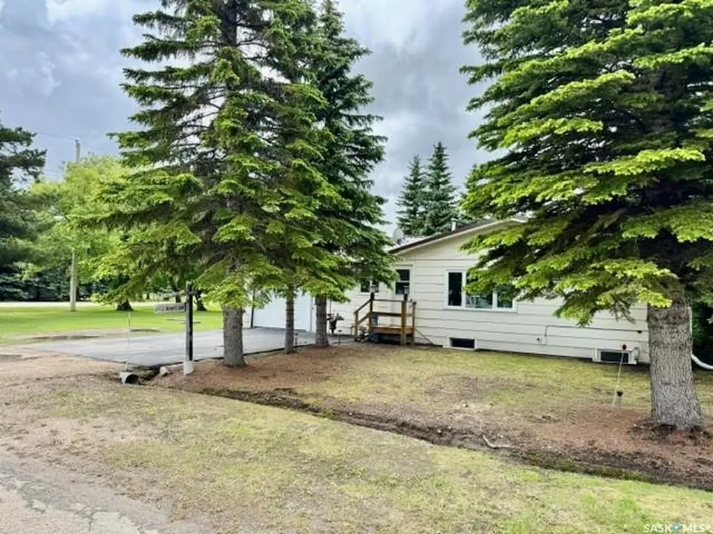 201 & 203 Park Street Leroy SK S0K 2P0