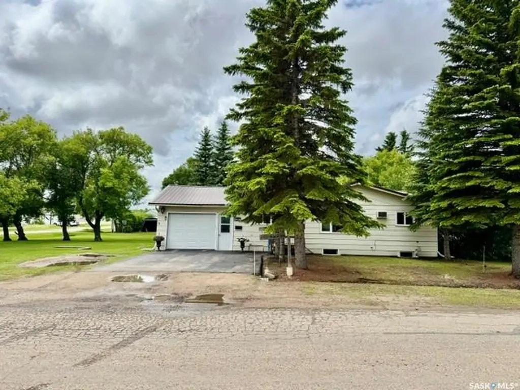 201 & 203 Park Street Leroy SK S0K 2P0