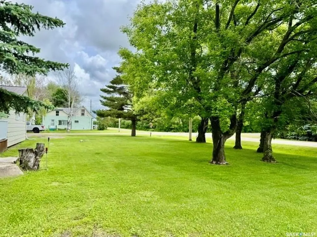 201 & 203 Park Street Leroy SK S0K 2P0