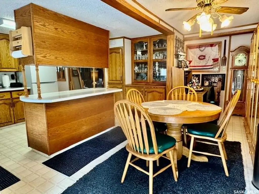 201 & 203 Park Street Leroy SK S0K 2P0