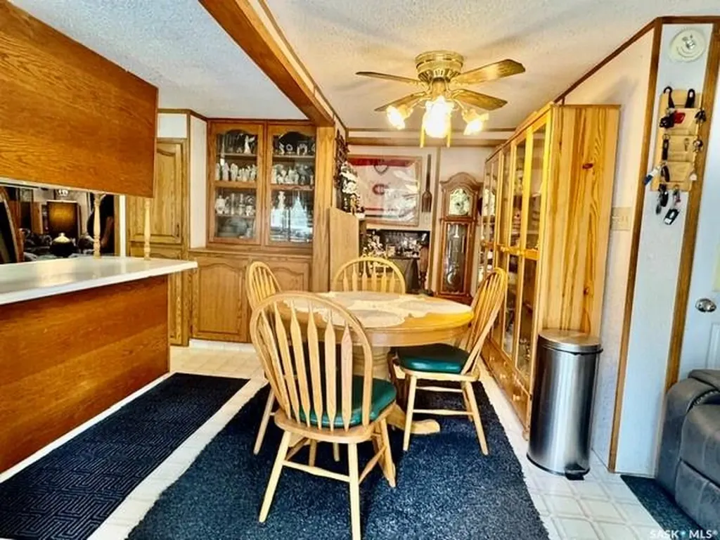 201 & 203 Park Street Leroy SK S0K 2P0