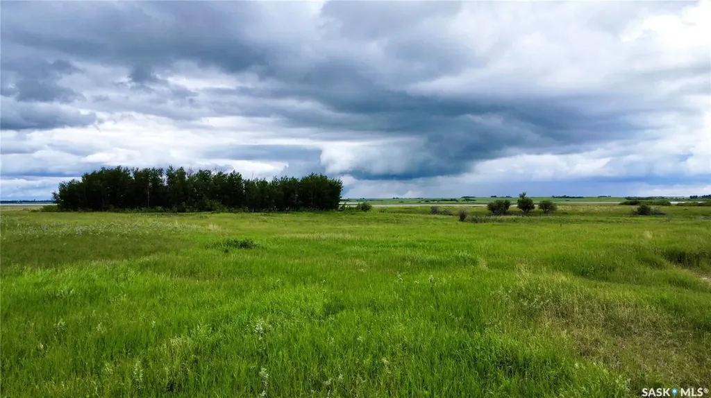 Rural Address Blucher Rm No. 343 SK S0K 0Y0