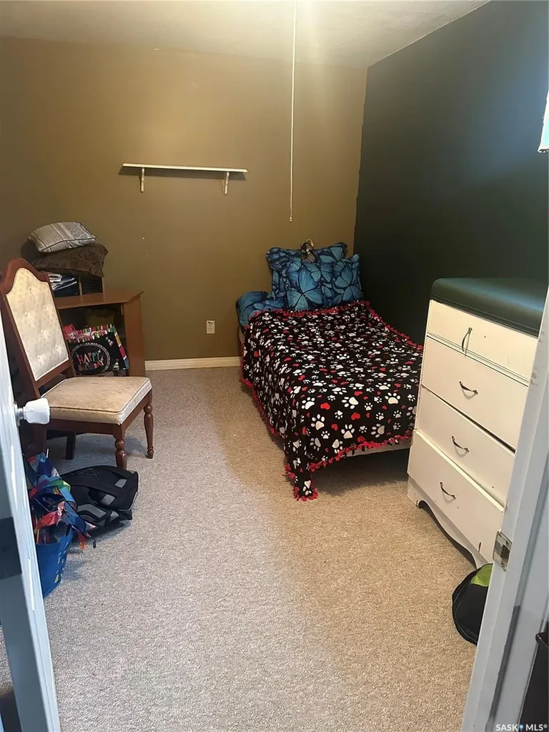 20 Birch Street Porcupine Plain SK S0E 1H0