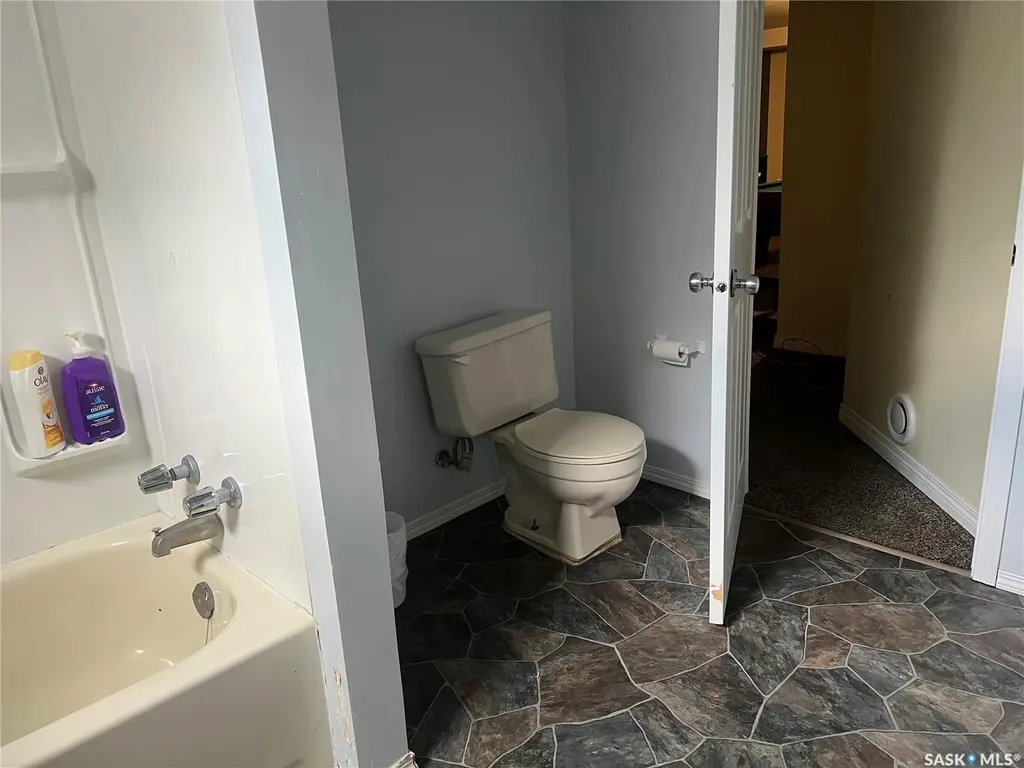 20 Birch Street Porcupine Plain SK S0E 1H0