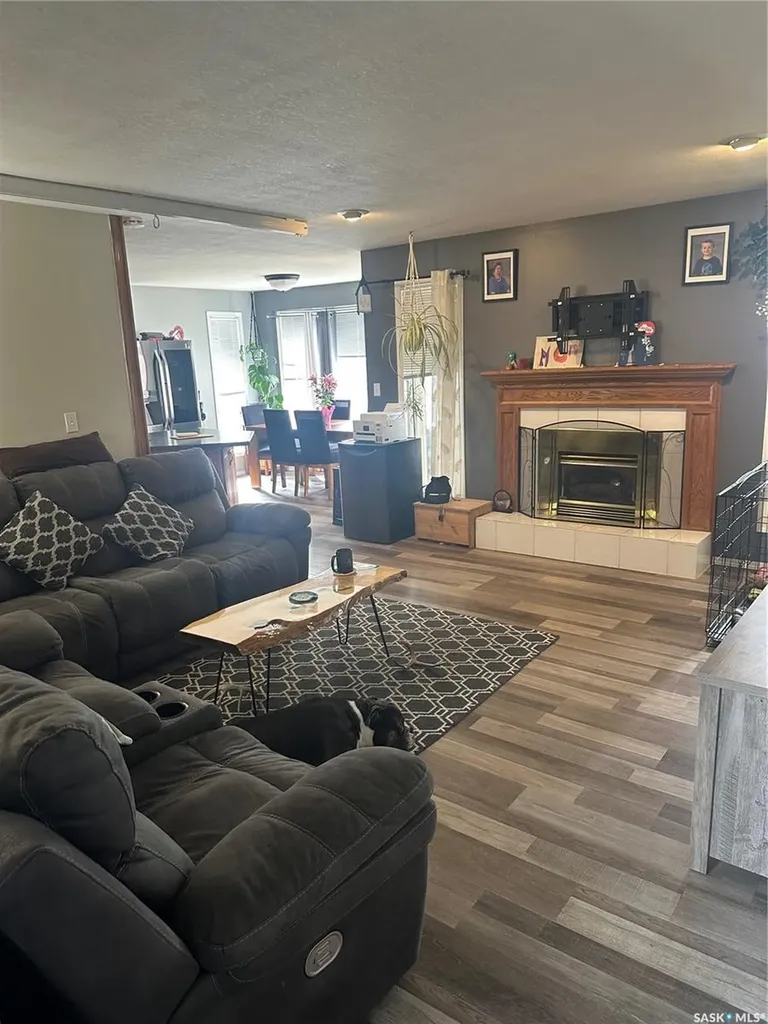 20 Birch Street Porcupine Plain SK S0E 1H0