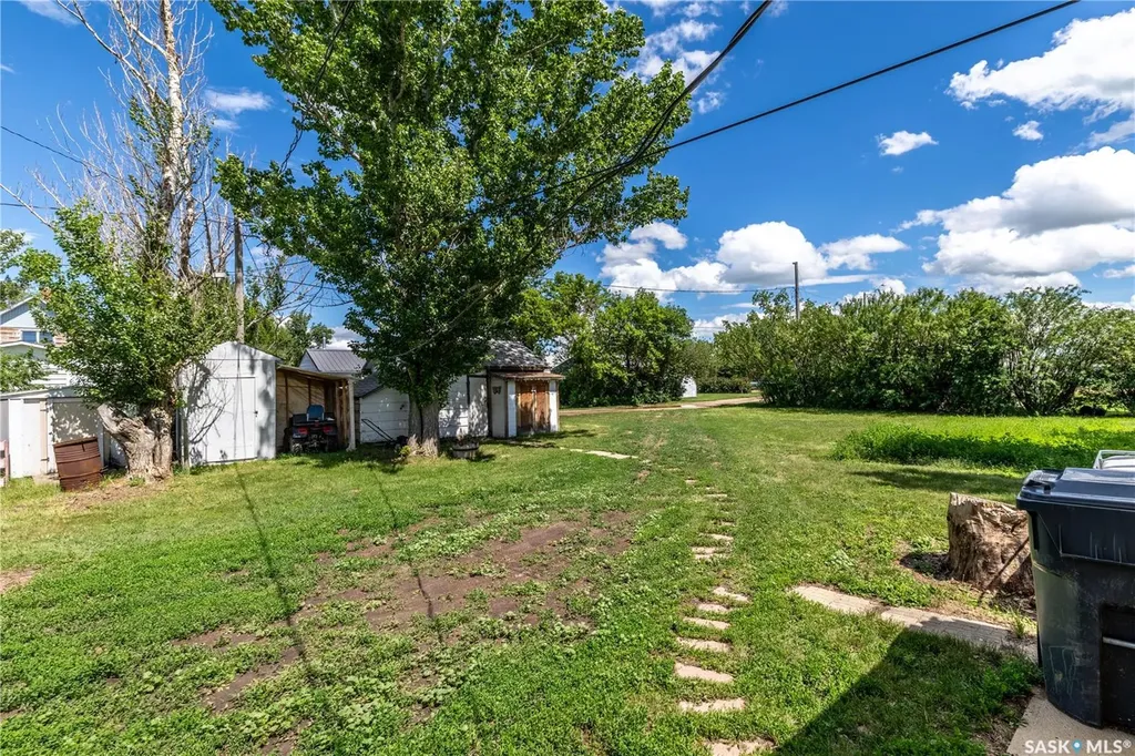 120 Crocus Avenue Briercrest SK S0H 0K0