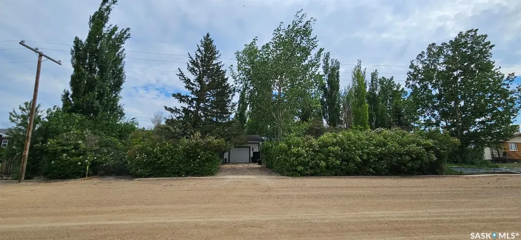 7 4th Avenue NW Hodgeville SK S0H 2B0