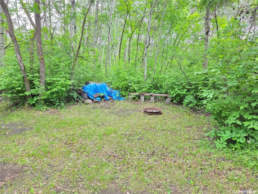 313 Kakakaway Place White Bear Ir 70 SK S0C 2S0