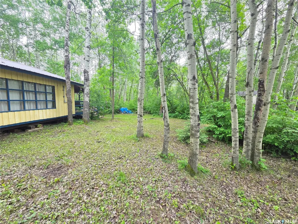 313 Kakakaway Place White Bear Ir 70 SK S0C 2S0