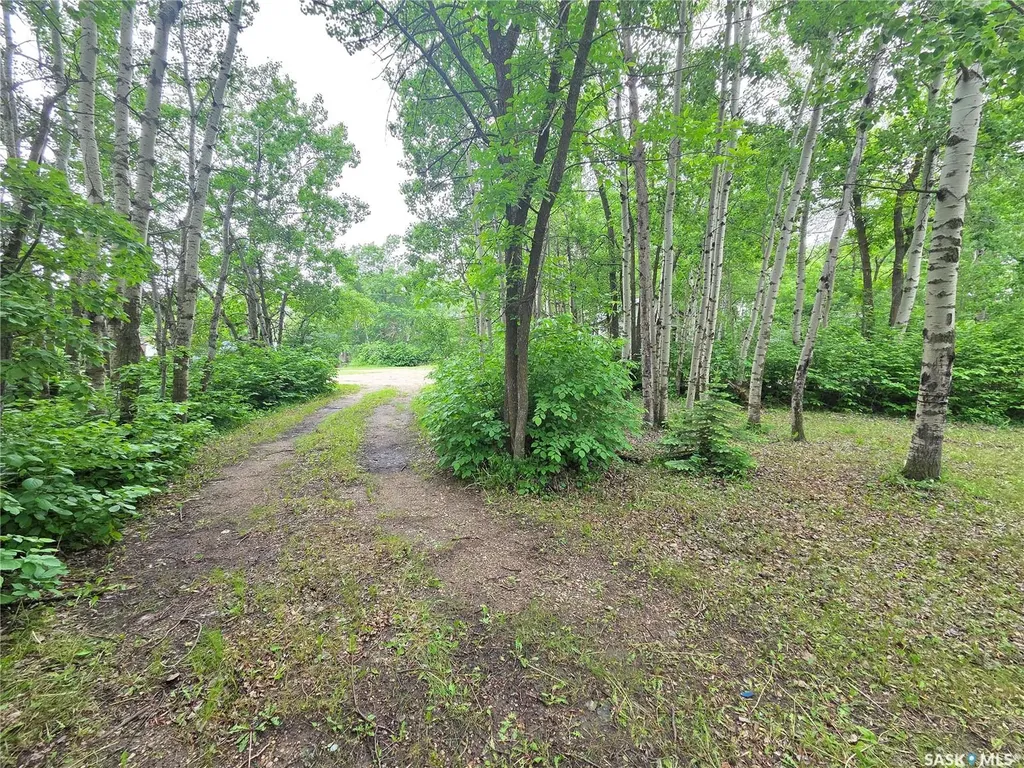 313 Kakakaway Place White Bear Ir 70 SK S0C 2S0