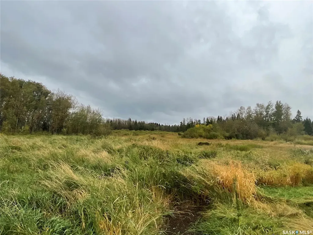 Rural Address Paddockwood Rm No. 520 SK S0J 2Z0