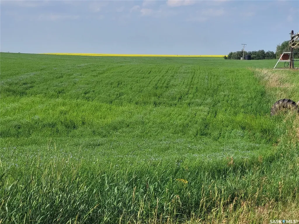 Rural Address Battle River Rm No. 438 SK S0M 0E0