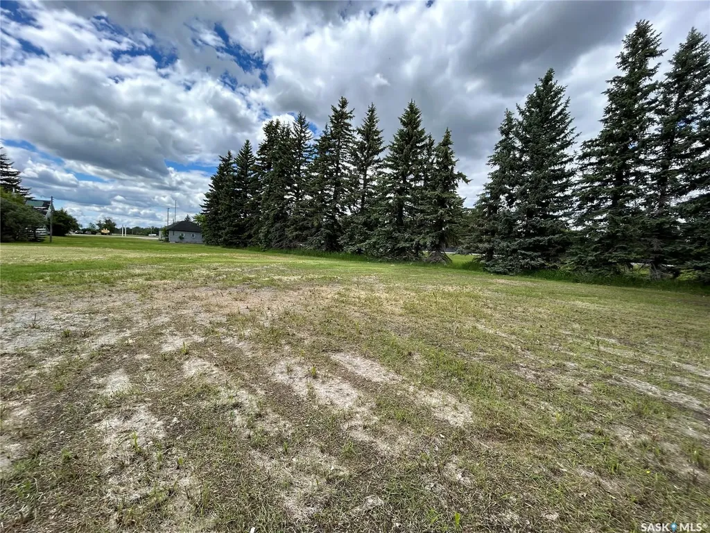 119 Main Street Lanigan SK S0K 2M0