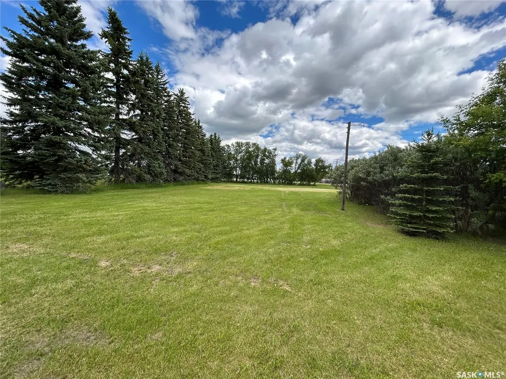 119 Main Street Lanigan SK S0K 2M0