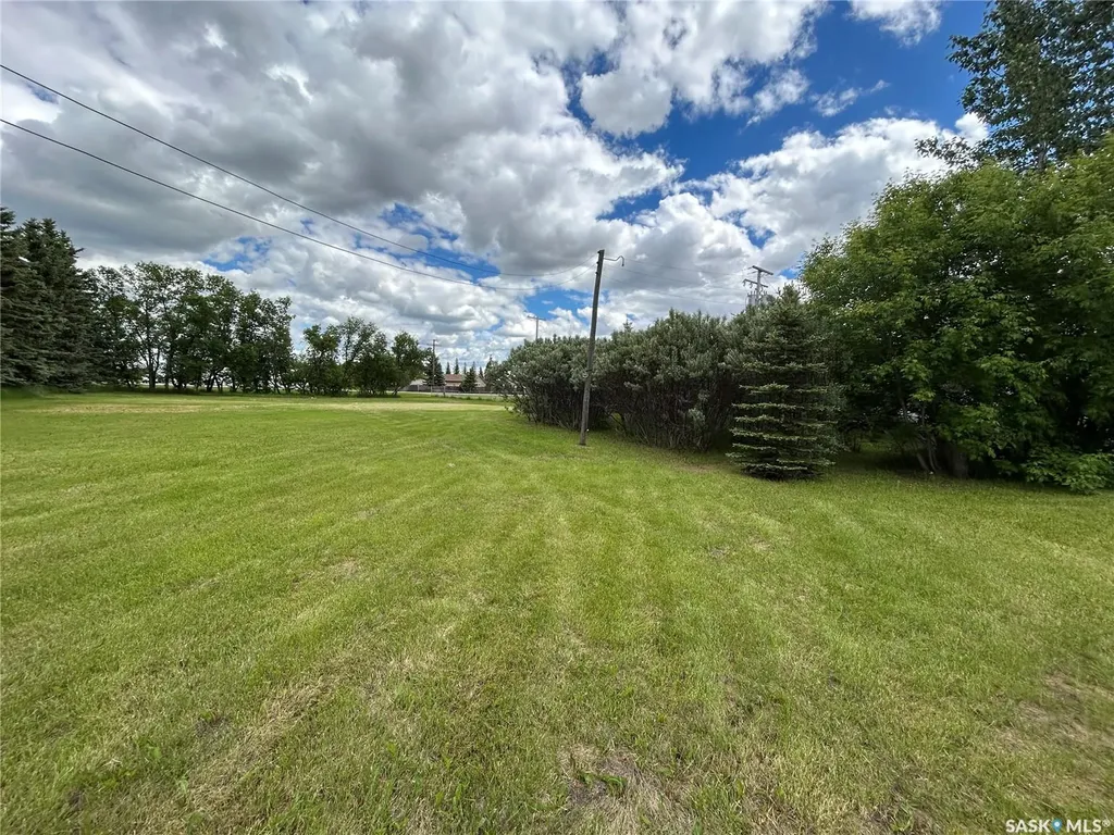 119 Main Street Lanigan SK S0K 2M0