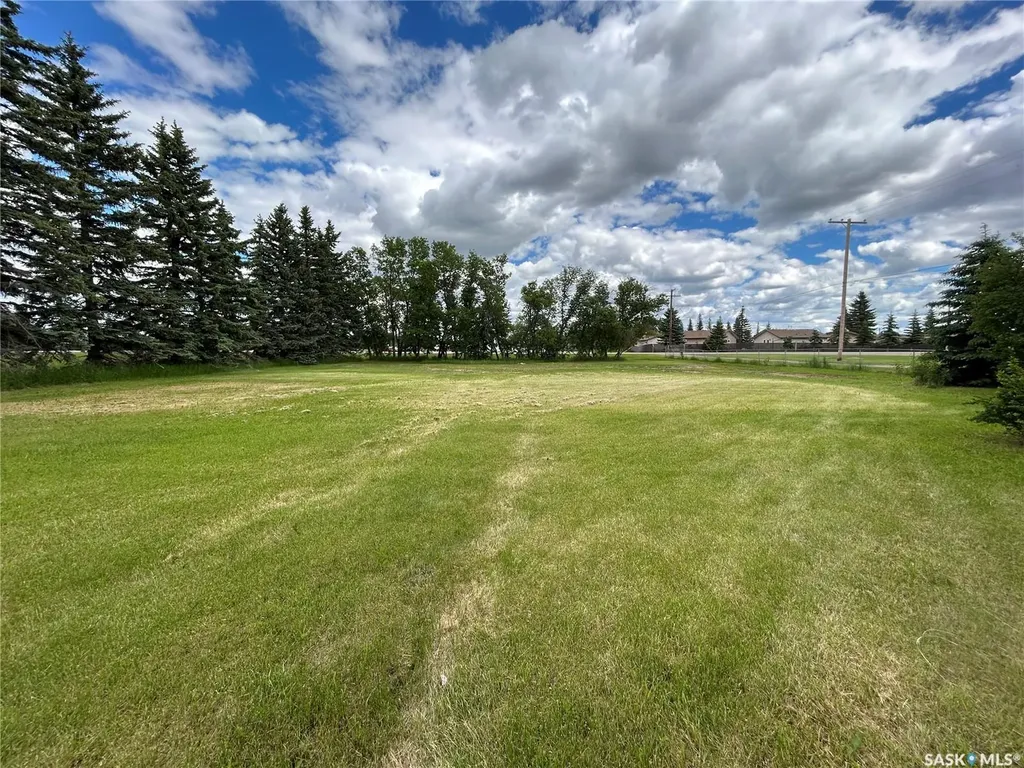 119 Main Street Lanigan SK S0K 2M0
