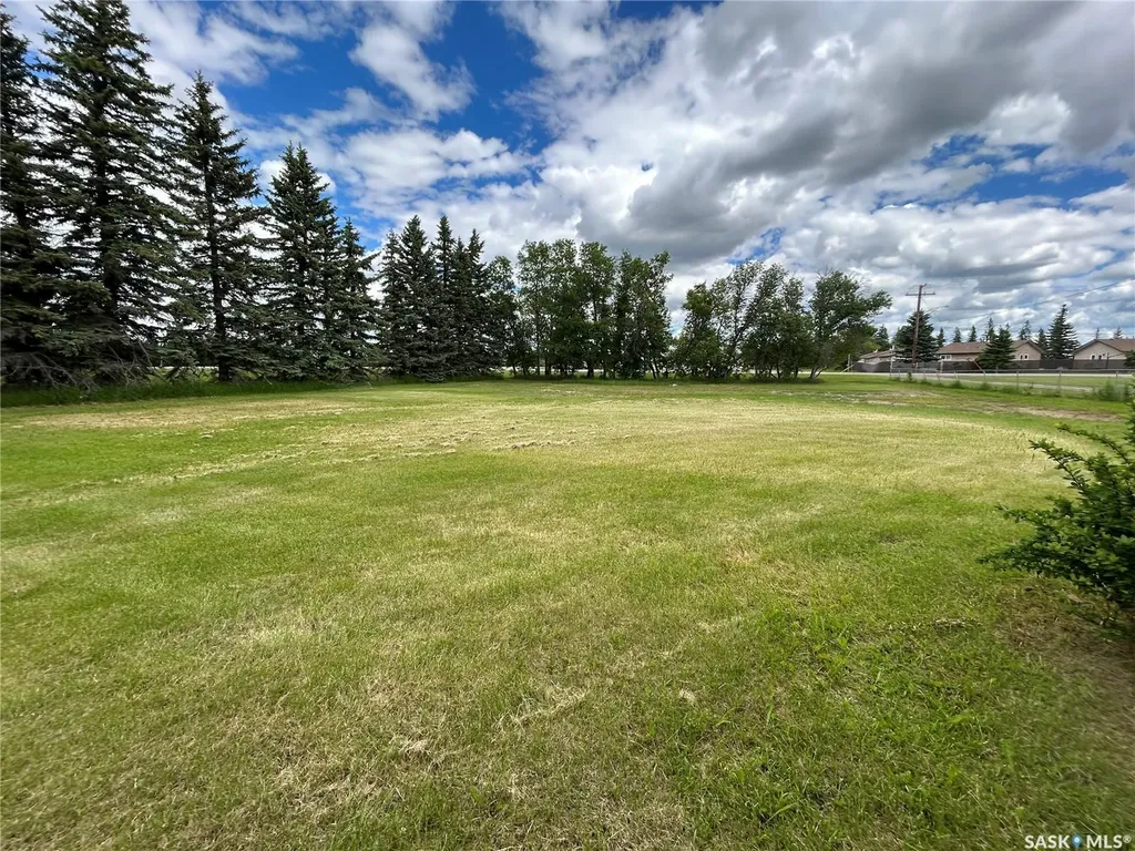 119 Main Street Lanigan SK S0K 2M0