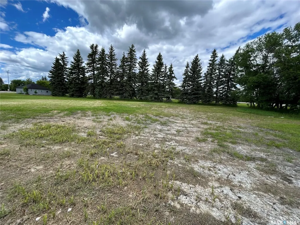 119 Main Street Lanigan SK S0K 2M0
