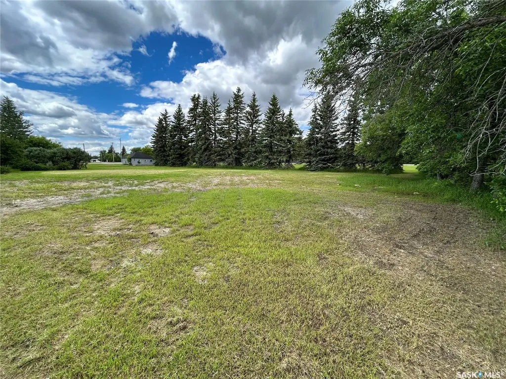 119 Main Street Lanigan SK S0K 2M0