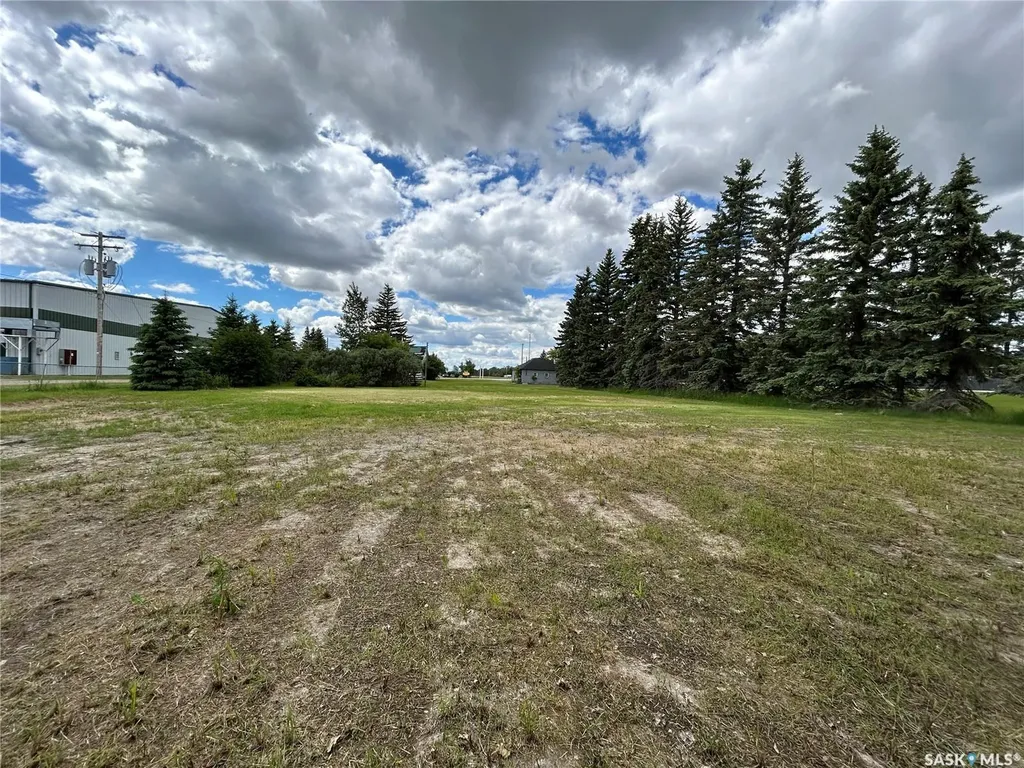 119 Main Street Lanigan SK S0K 2M0