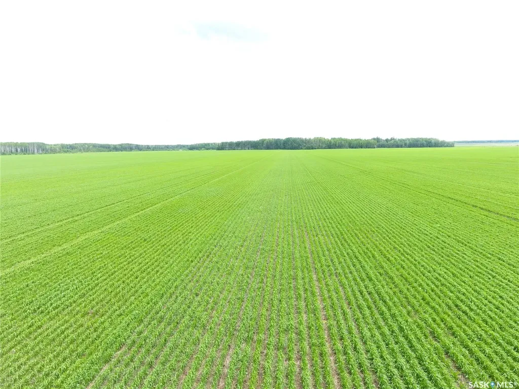 Rural Address Hudson Bay Rm No. 394 SK S0E 0Y0